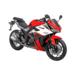 MOTOCICLETA SHINERAY XY250 CHIEF II 2023