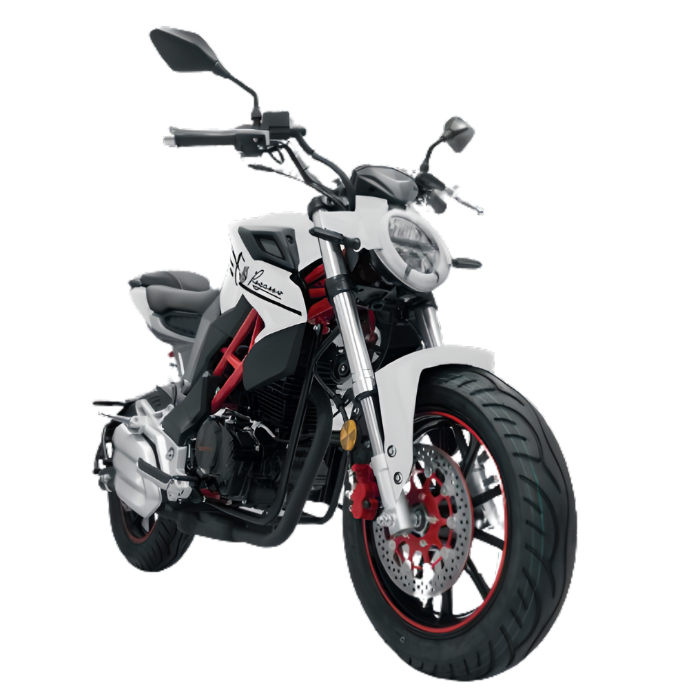MOTO PEGASSO FREEDOM 200CC