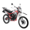MOTO SHINERAY SMX8