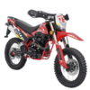 MOTO SHINERAY STEELER 250