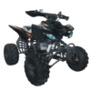 CUADRÓN PEGASSO ATV 150CC