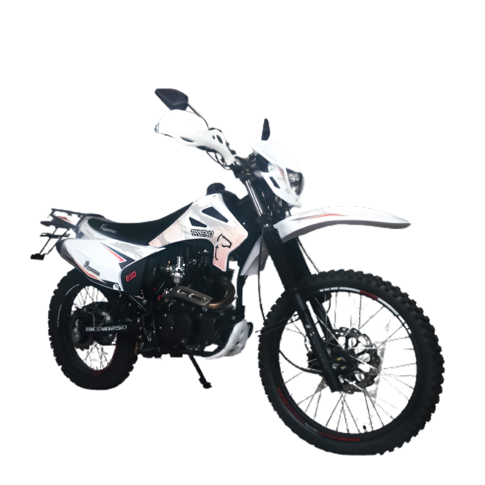 MOTO PEGASSO TRUENO 250