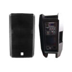 CAJA AMPLIFICADA PROFESIONAL DOBLE 10” 200W BETA 4 CAJA-B4-QC-10A