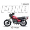 Moto Sonlink 200cc  panaSL200 GN