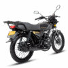 Moto Dayto DY200 Work Force 200CC